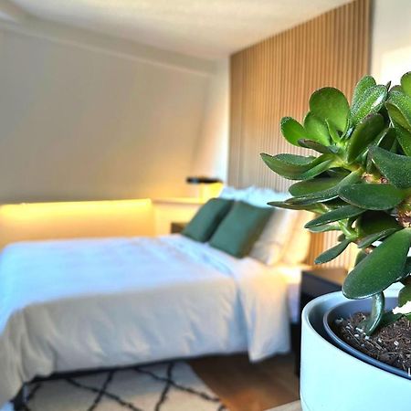 Suite Dernier Etage Saint-Maur ลามาเดอเลน ภายนอก รูปภาพ